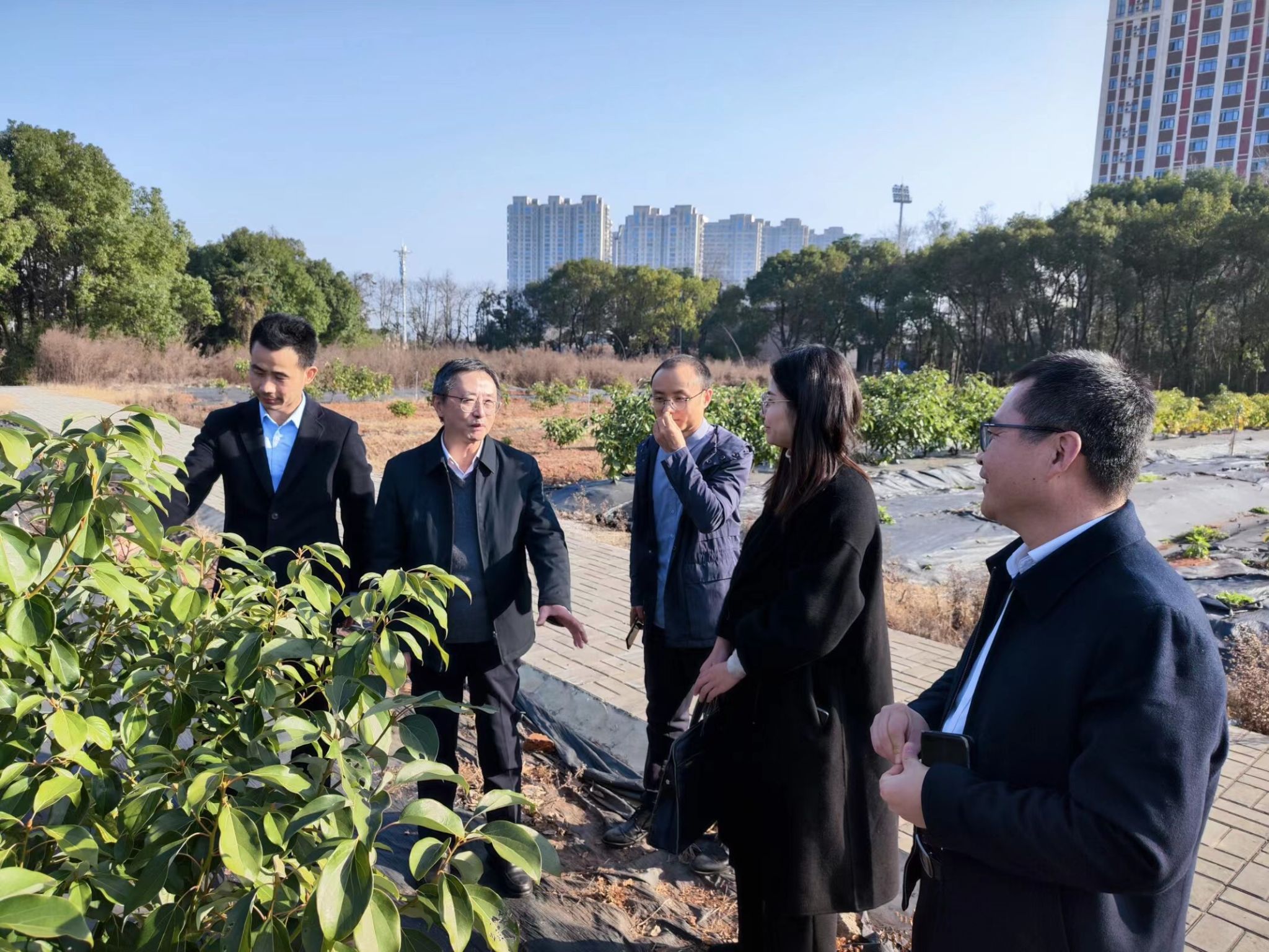 赣江新区创新发展局来校开展樟树研究与产业发展调研交流
