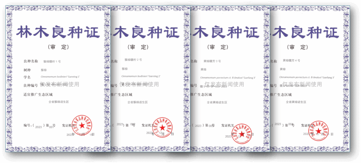 我校新增获批四个省级审定林木良种